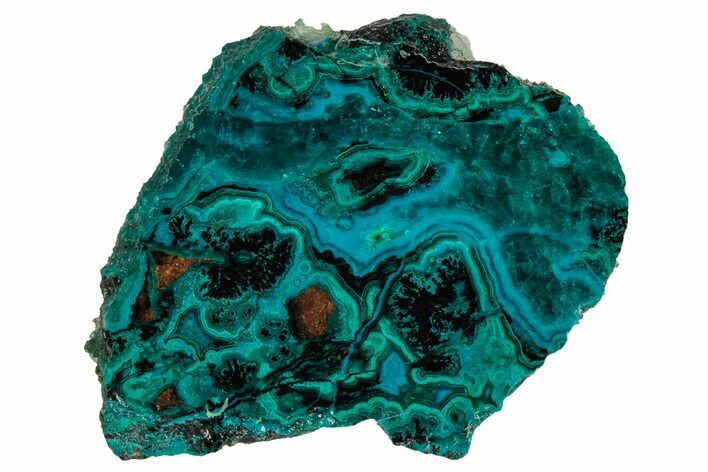 Polished Banded Chrysocolla and Malachite - Bagdad Mine, Arizona #327661